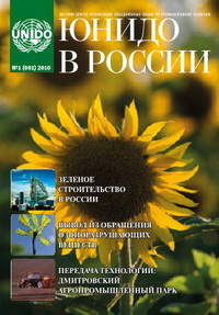 ЮНИДО в России